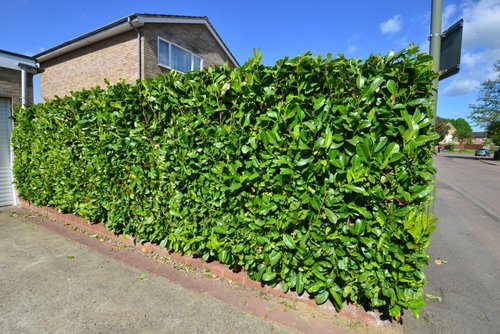 Windbreak Fence Ideas 7