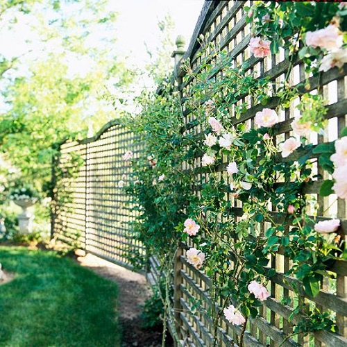 Windbreak Fence Ideas 8