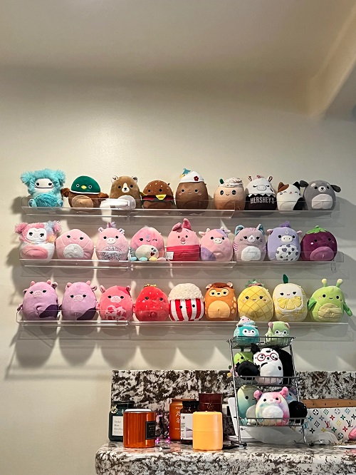 Can You Buy Display Shelves? : r/squishmallow