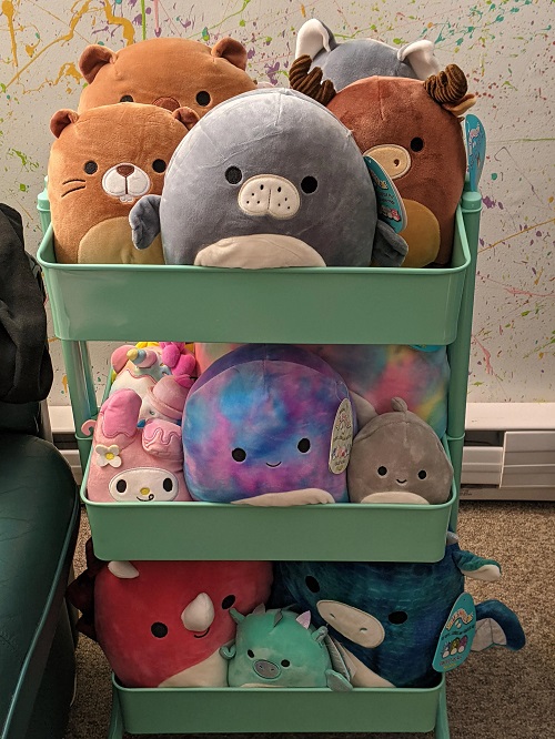 https://brightstuffs.com/wp-content/uploads/2023/09/Squishmallows-Wagon-Display.jpg