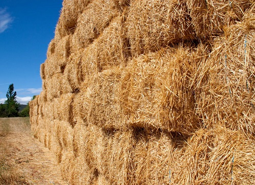 Straw Bale Barrier Idea