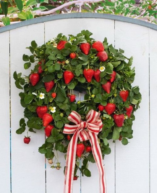 Strawberry Decorations Ideas 3