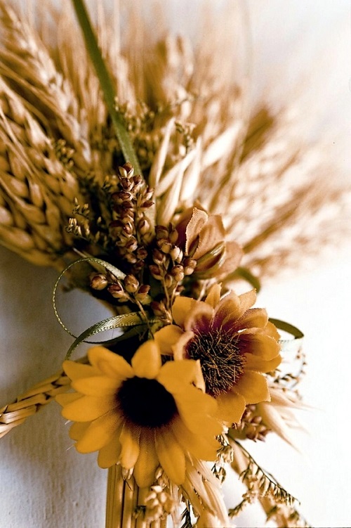 Sunflower and Wheat Bundle