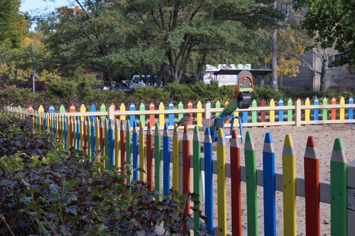 Playground Fence Ideas 1