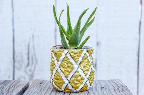 DIY Pineapple Succulent Planter