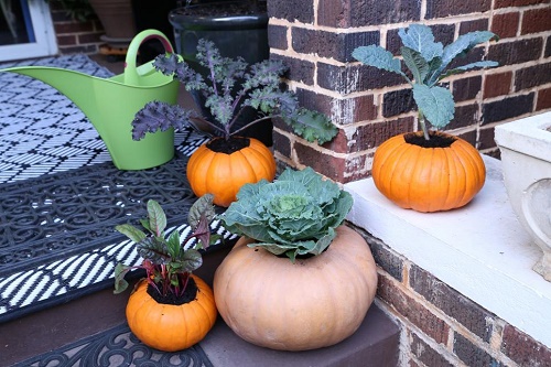 Gourds Turned Vegetable Planters