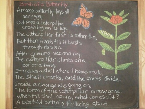 Spring Chalkboard Ideas 7