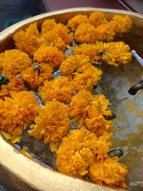 Marigold Arrangements 3