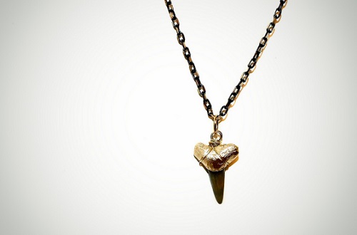Gold-Tipped Shark Tooth Necklace