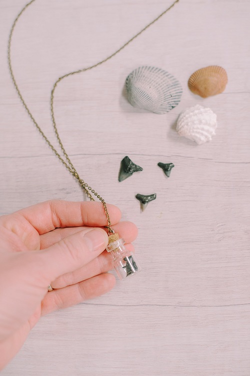 Mini Glass Bottle and Shark Teeth Necklace