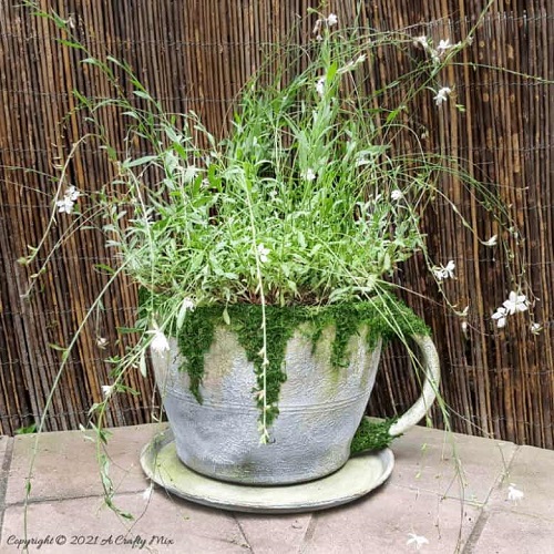 Beautiful Teacup Planter Indoor