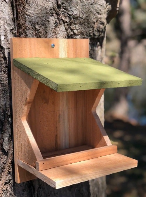 Free Cardinal Birdhouse Plans and Ideas 1