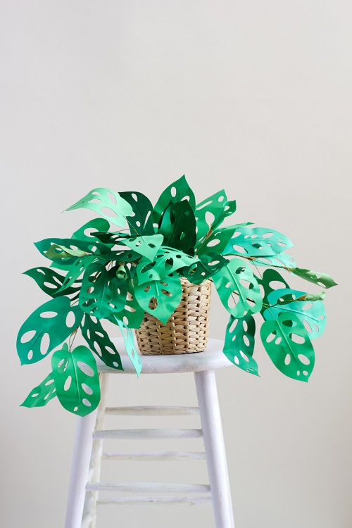 DIY Paper Swiss Cheese Plant