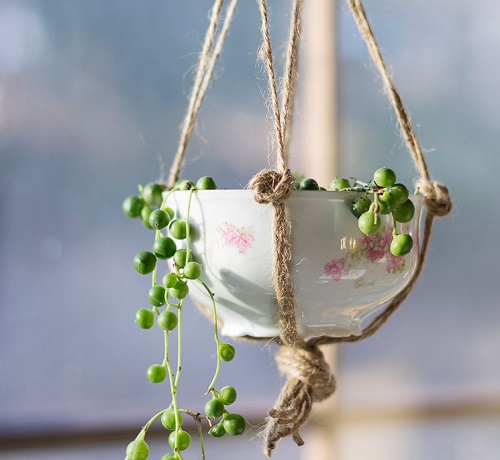 DIY Teacup Planter Ideas