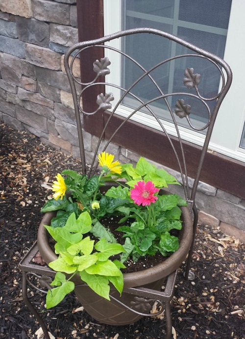 Old Metal Chair Plant Display Idea