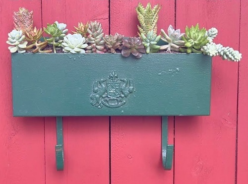 Succulent Mailbox Plant Holder