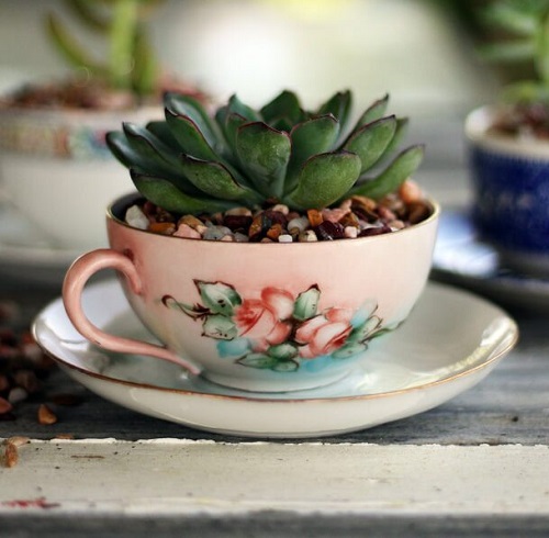 DIY Teacup Planter Ideas 2