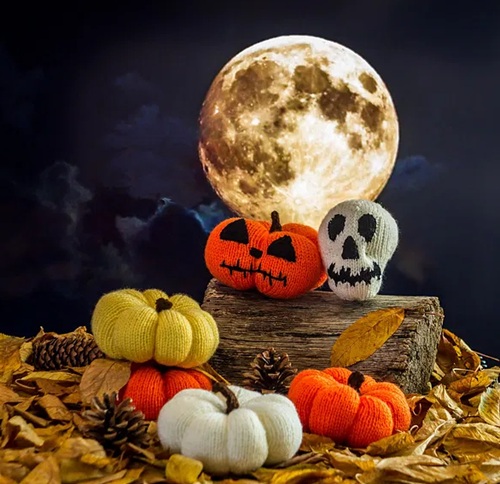 skull Pumpkin Free Knitting Patterns