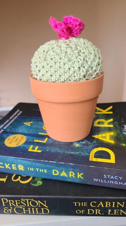 Seed Stitch Cactus