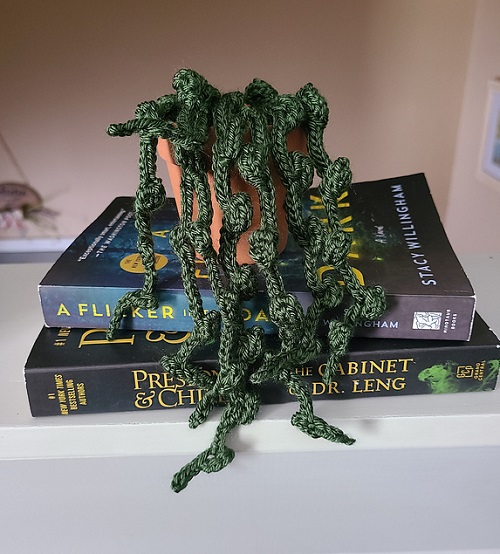 Stunning Knitted Succulent Patterns