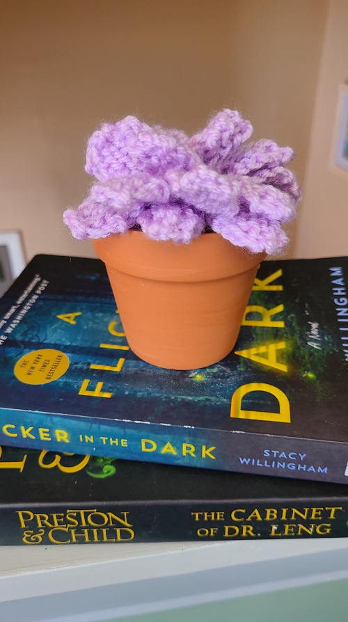 Stunning Knitted Succulent