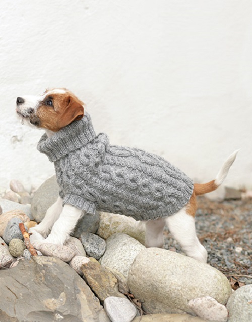 Stunning Pet Sweater