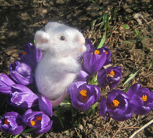 Cute Knitted Rat Free Patterns 1