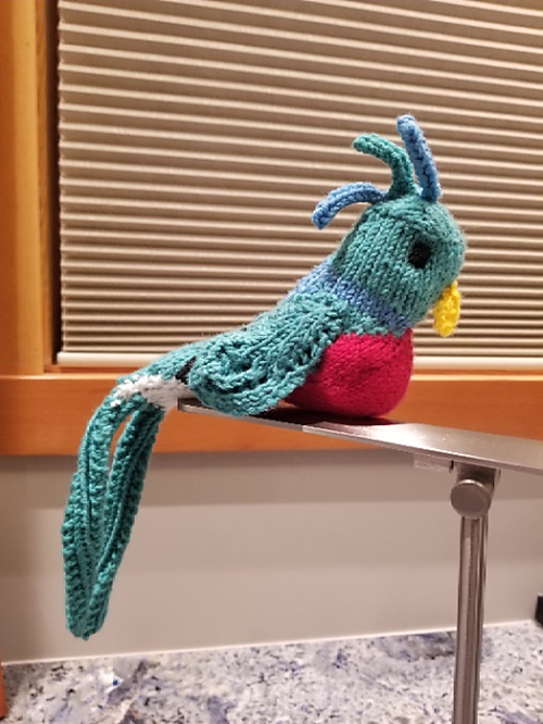 top Knitted Quetzal Bird