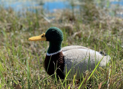 Free Duck Knitting Patterns