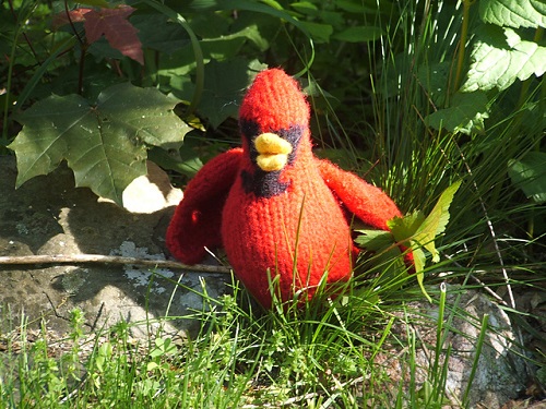 Knitted Cardinals Free Patterns