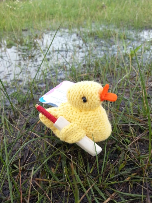 Little Yellow Duck with a Mission