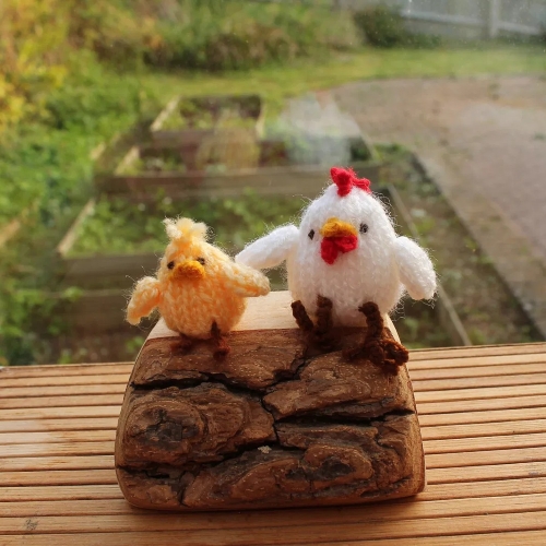 Mini Chicken and Chick