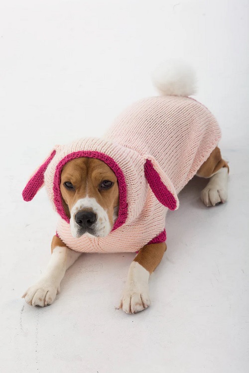 Bunny Dog Costume Pattern