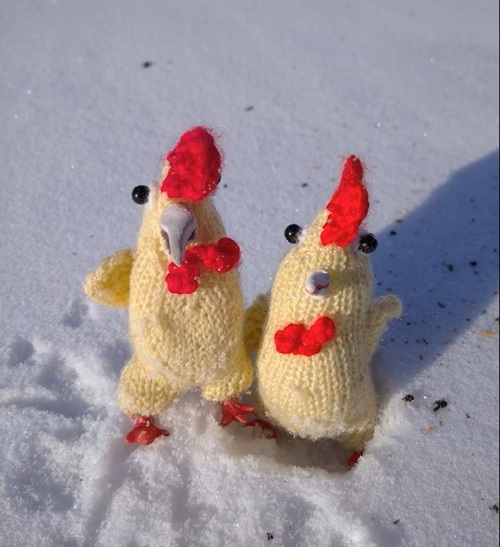 Funny Roosters Knittiner Pattern