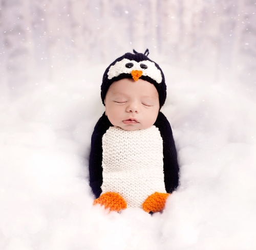 Knitted Penguin Hat Free Pattern