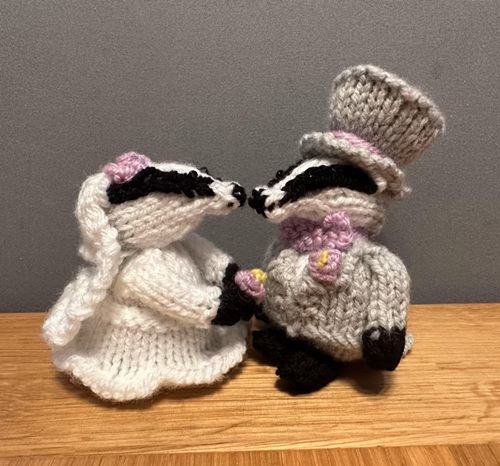 Badger Bride & Groom