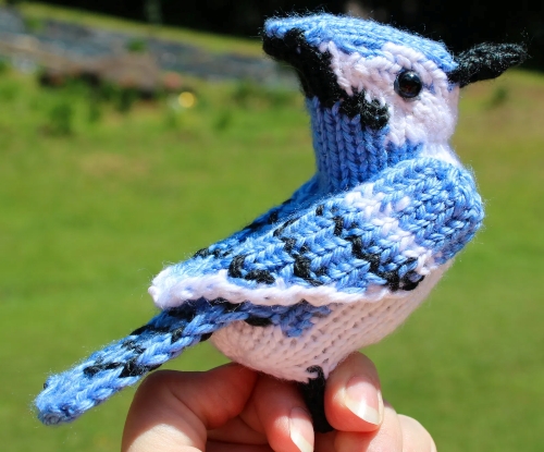 Blue Jay Knitting Pattern