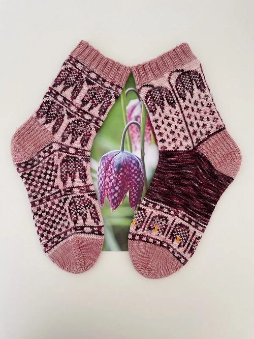 fritillaria-socks-knitting-pattern