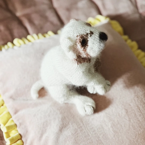 Super Adorable New Born Puppy