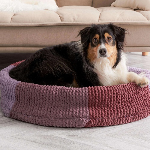Easy and Cute Knitted Dog Beds Pattern 2