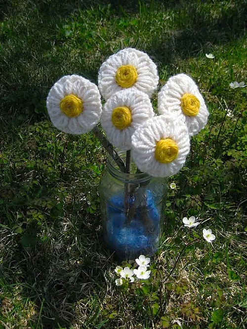Knitted Daisy Flower Display