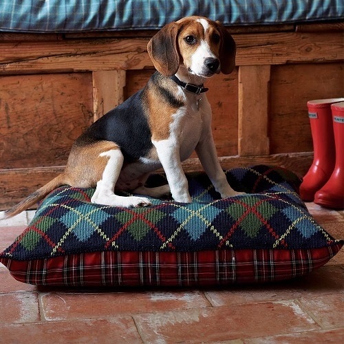 Bean Bag Dog Bed
