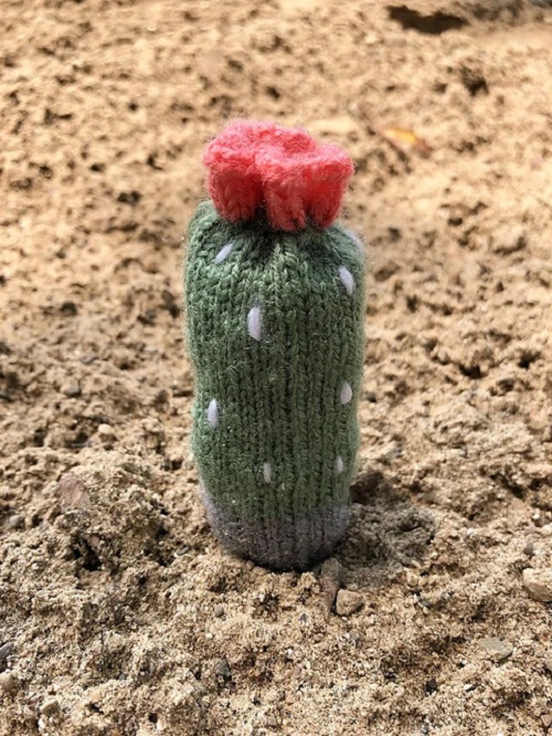 Easy and Cute Unique Cactus Knitting Patterns
