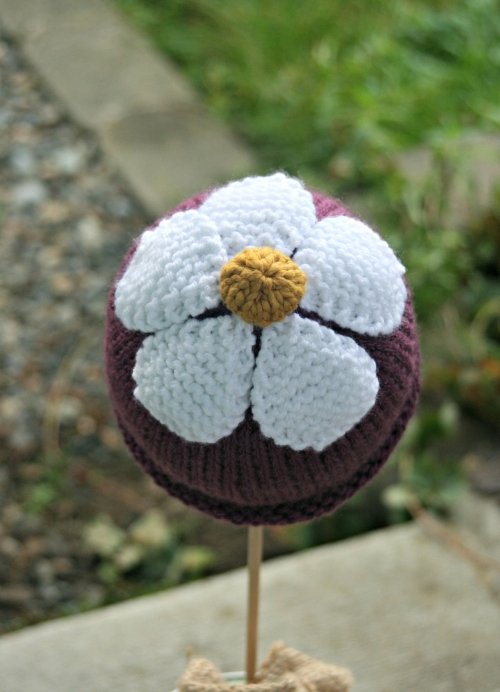 Newborn Daisy Hat
