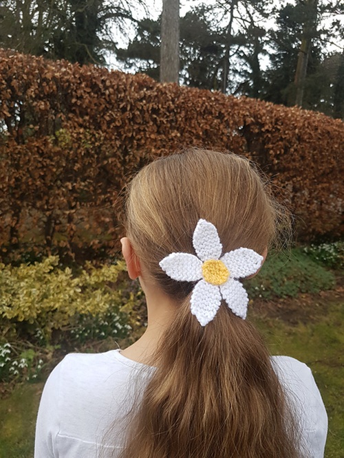 Daisies
