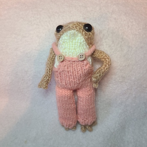 Frog Toy Outfit Free Patterns