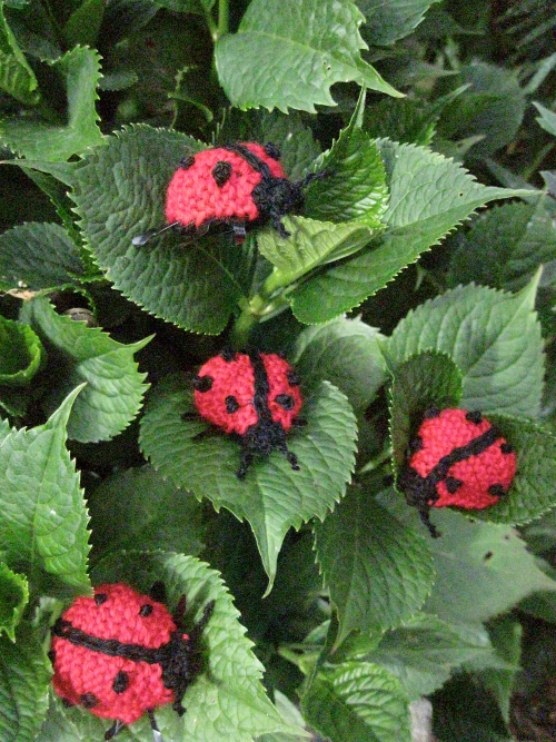 Group of Ladybugs Free Knitting Pattern