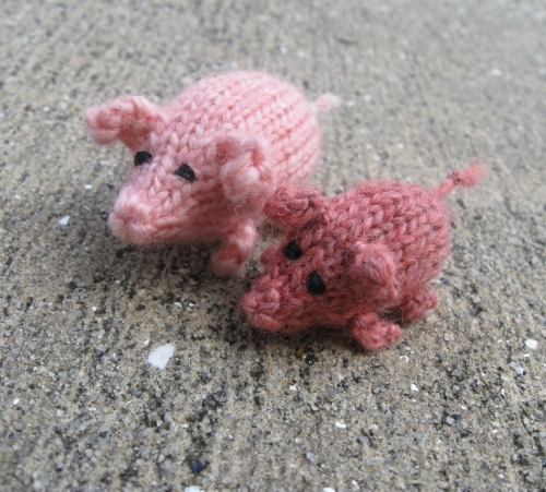 Knit Pocket Pigs