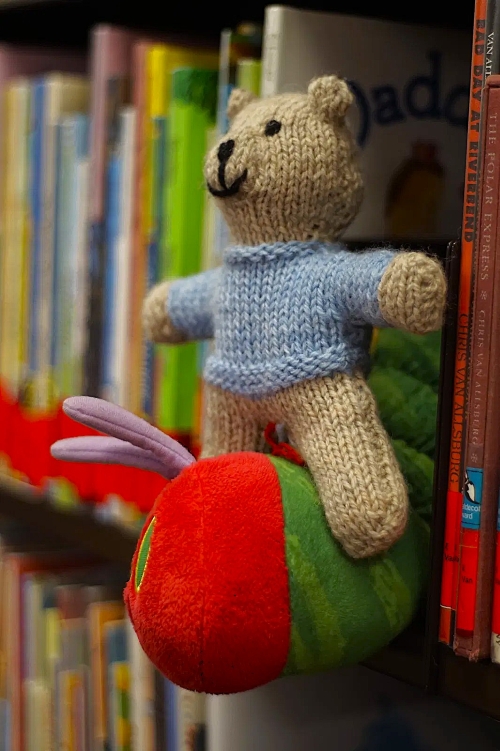 Knit Pocket Teddy