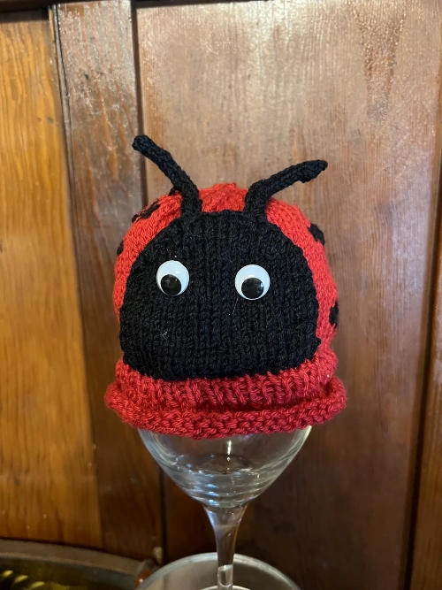 Knitted Ladybug Hat